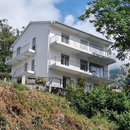 Apartments Parapid Kotor Kültér fotó